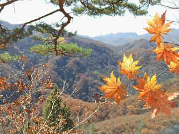 中山市婚姻家庭辅导室实习-婚姻家庭辅导服务站